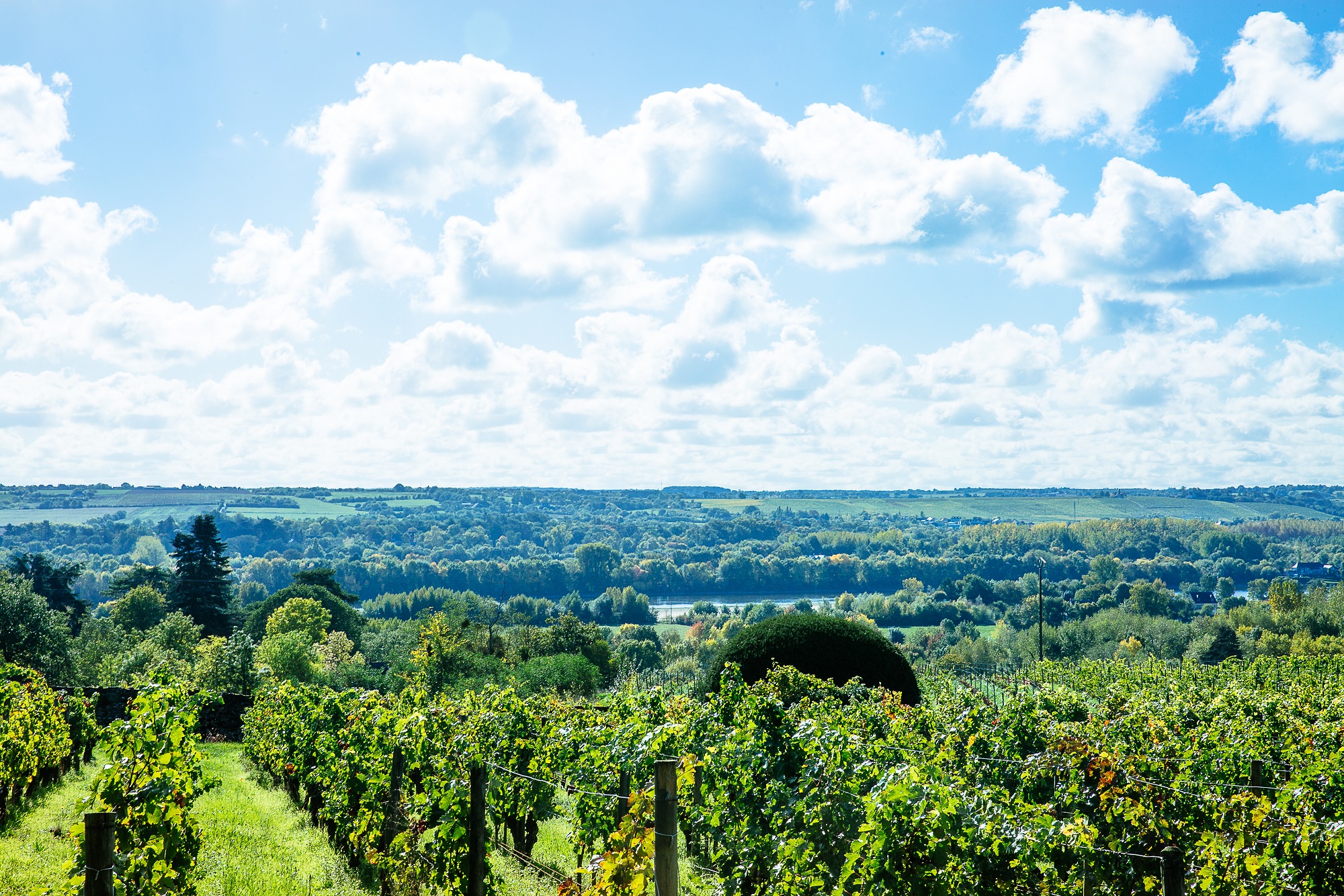 SAVENNIÈRES, UN VILLAGE À SAVOURER©
