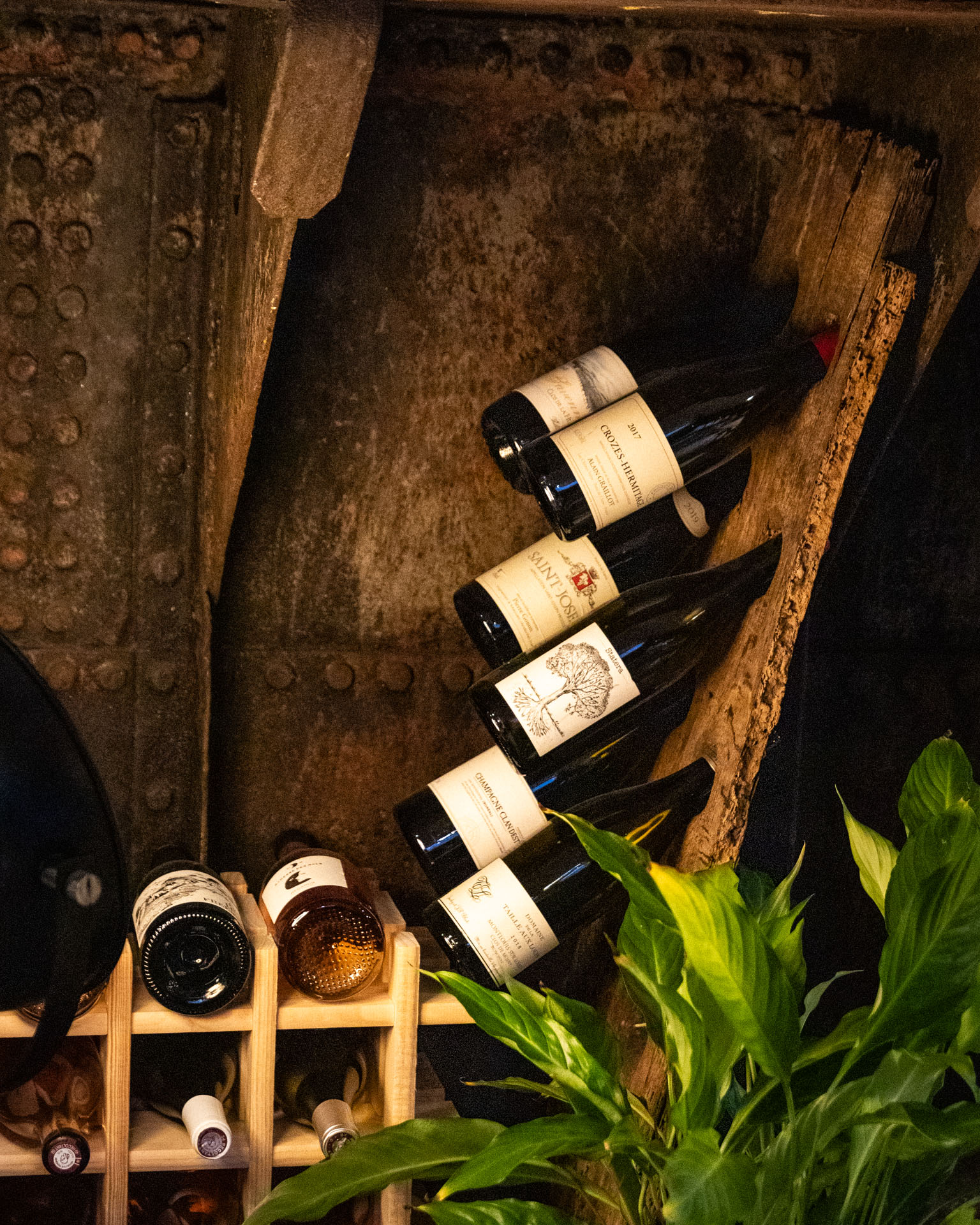 BARCO VINO©