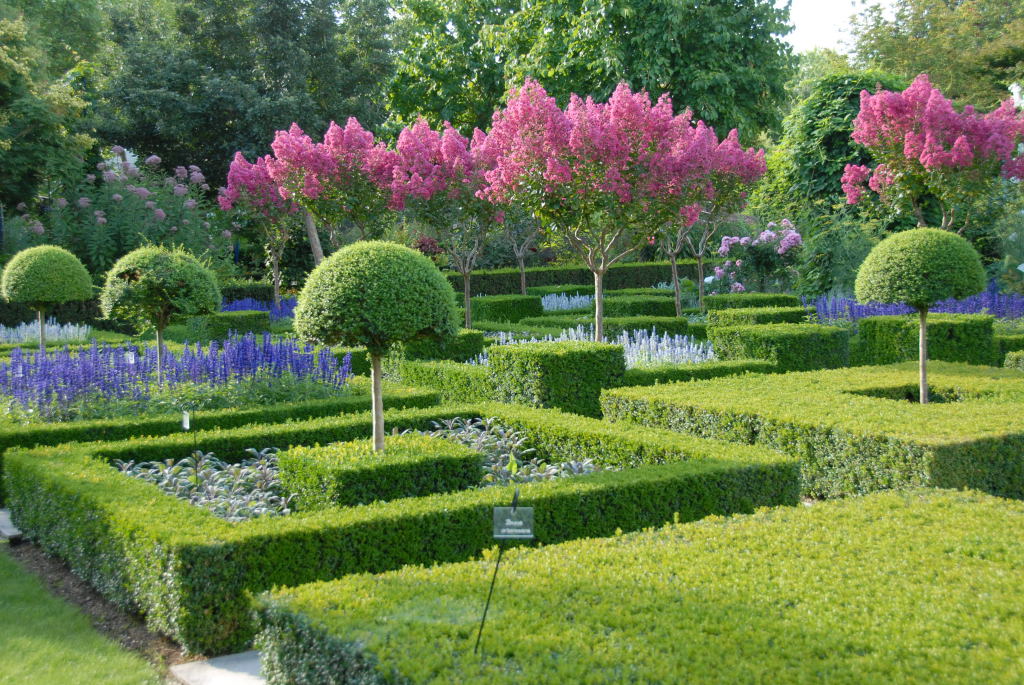 ARBORETUM GASTON ALLARD©