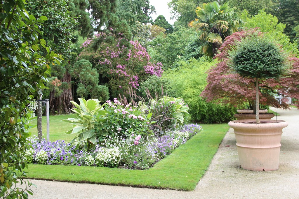 ARBORETUM GASTON ALLARD©