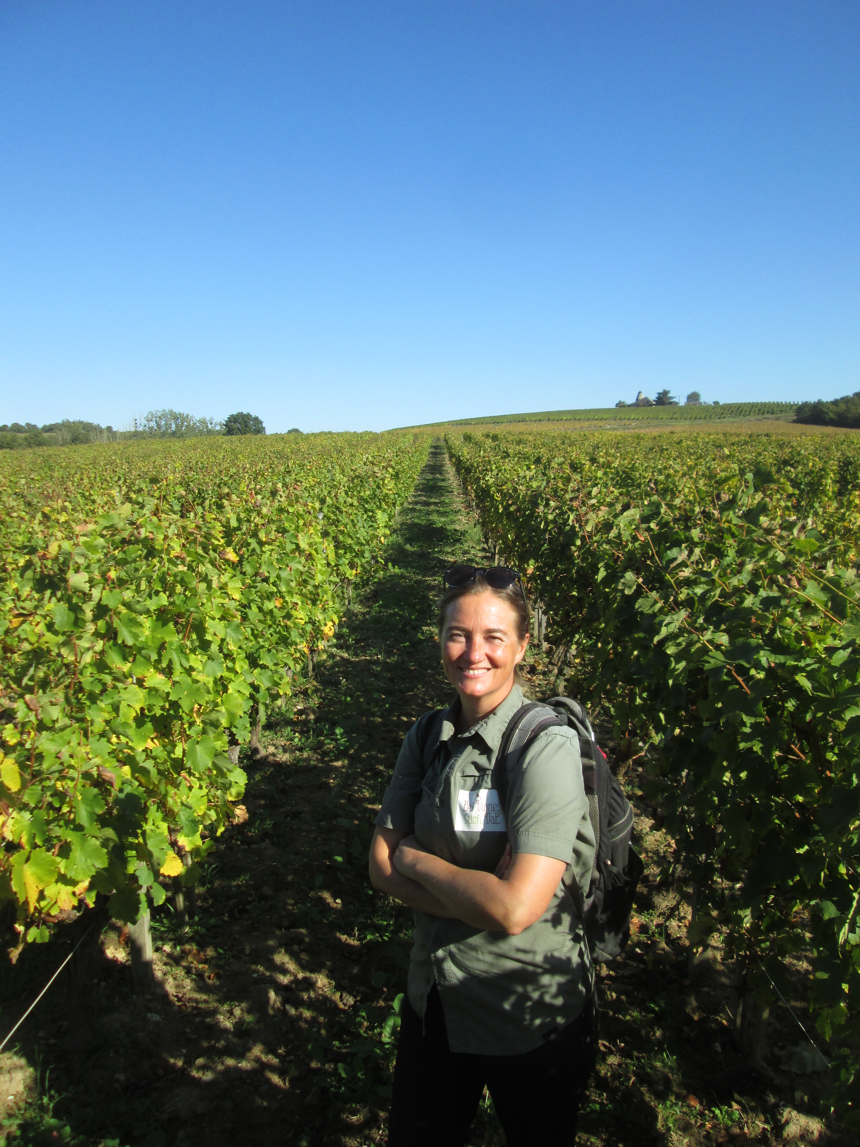 LES VIGNES SELON VAL©