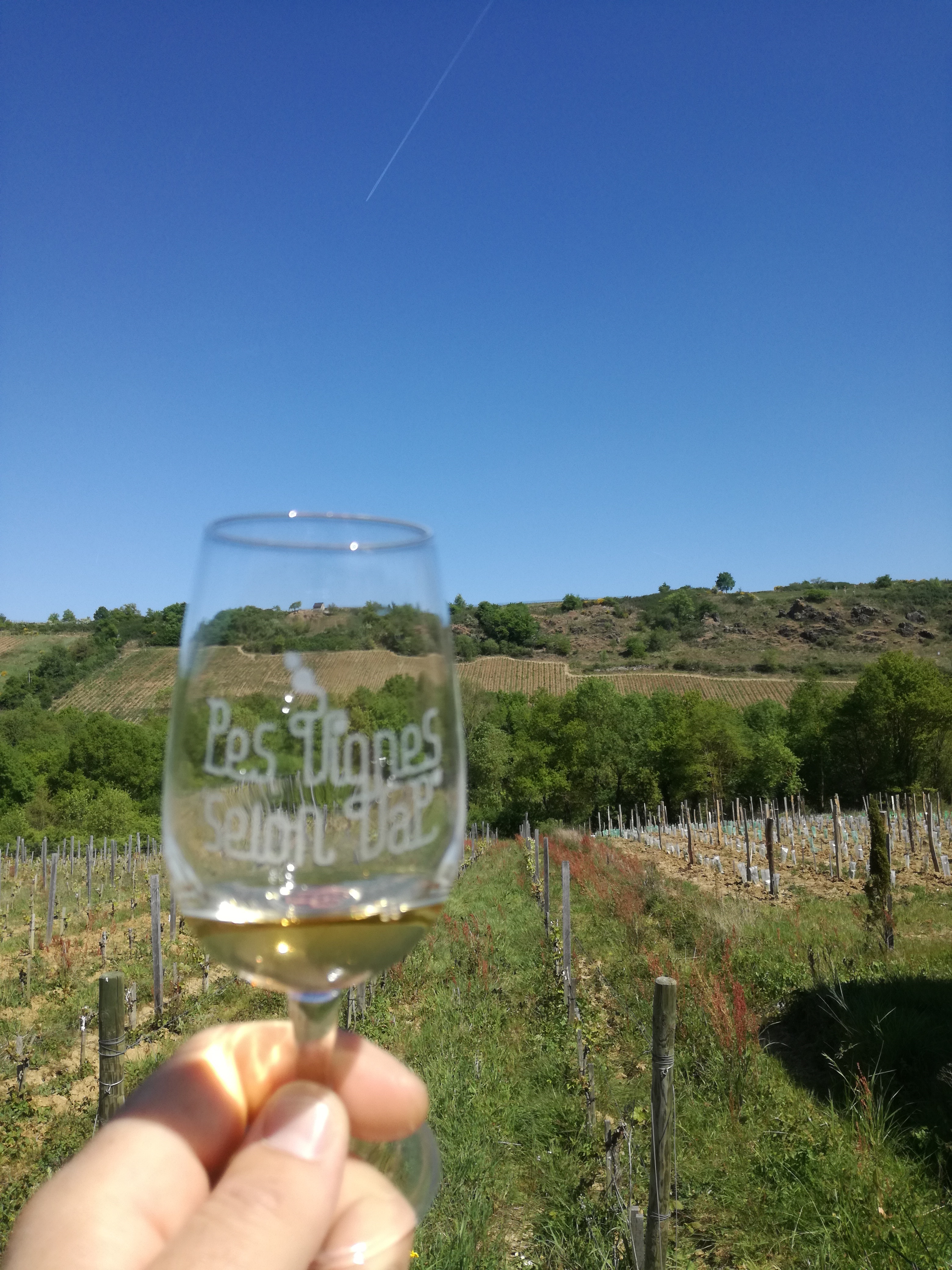 LES VIGNES SELON VAL©