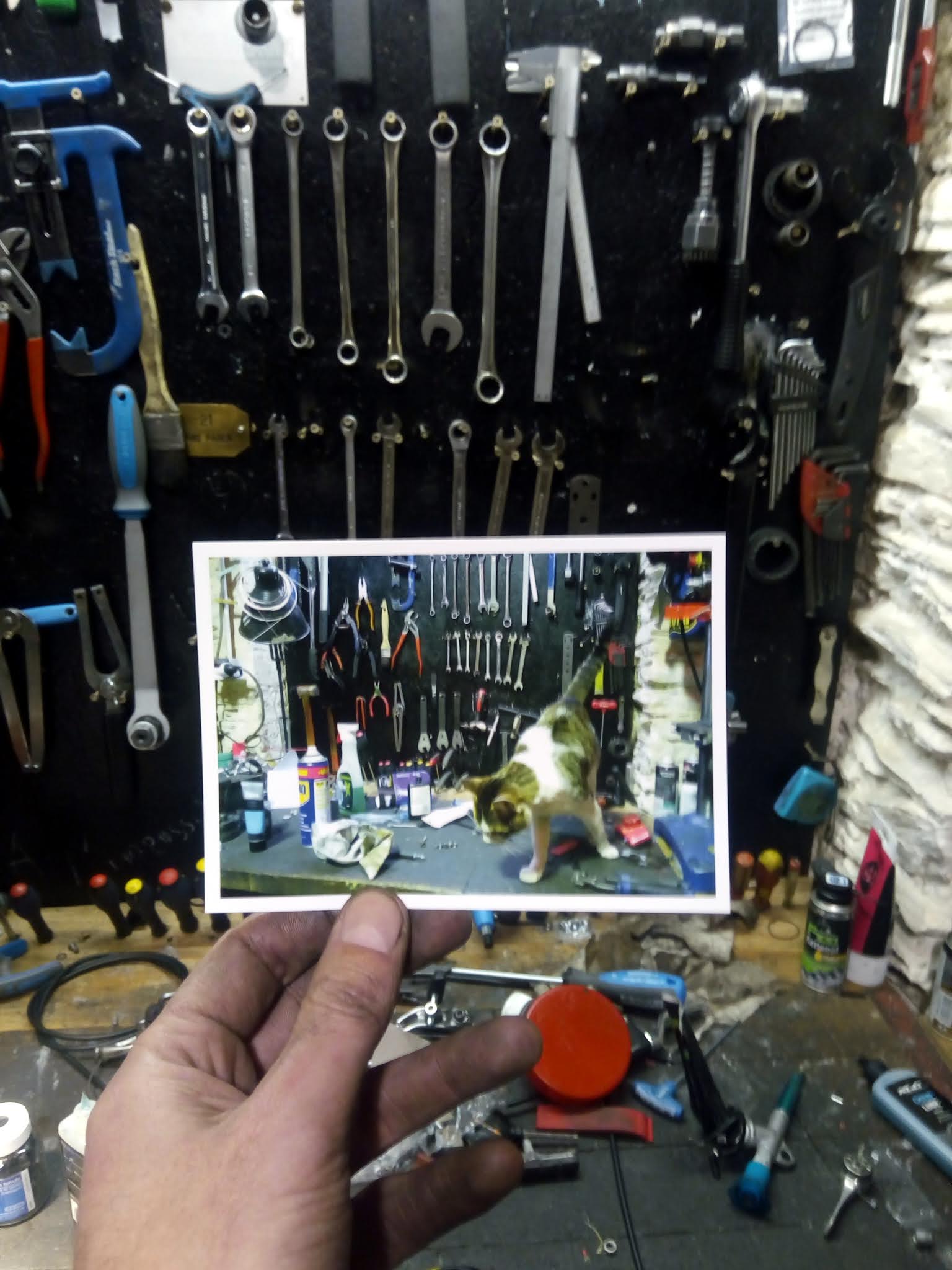 LA TÊTE DANS LE GUIDON©