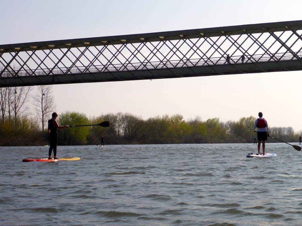 CLUB NAUTIQUE DE BOUCHEMAINE©