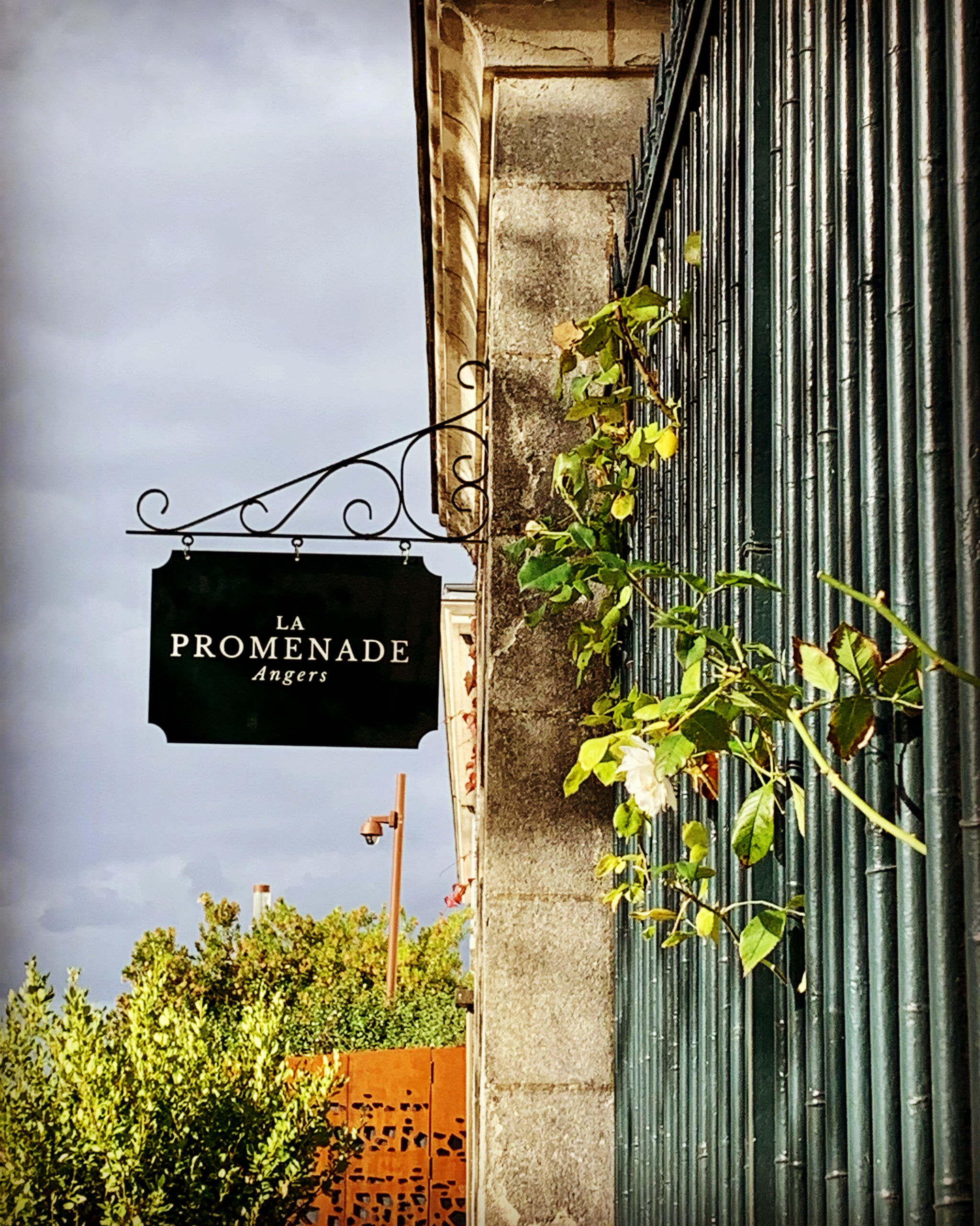 La Promenade Angers©