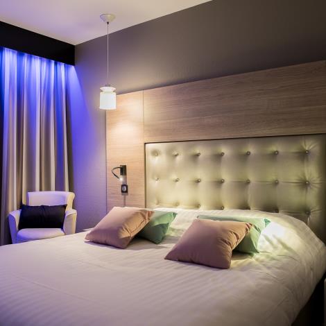 CHAMBRE CLUB HOTEL LE RABELAIS