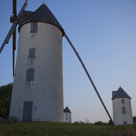 Colline des moulins - Mouilleron saint Germain