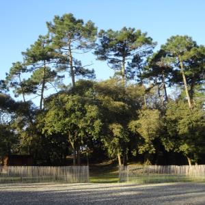 PARC DES FLORALIES