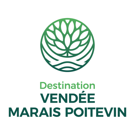 DVMP_logo_vertical