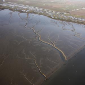 RÉSERVE NATURELLE NATIONALE DE LA BAIE DE L'AIGUILLON