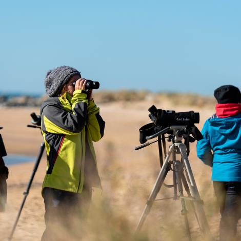 camp-migration-lpo-ornithologie-birdwatching-la-pointe-de-l-aiguillon-sur-mer-vendee
