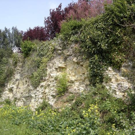 coteaux calcaires-Chaillé-les-Marais- Vue falaise calcaire