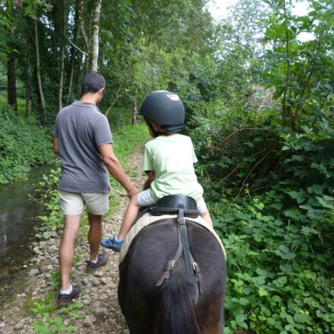 ecole-du-cheval-serzais-st-hilaire-des-loges-85-hlo