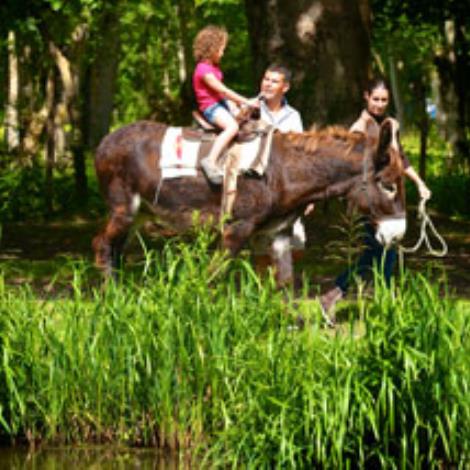 La Ferme du Marais poitevin