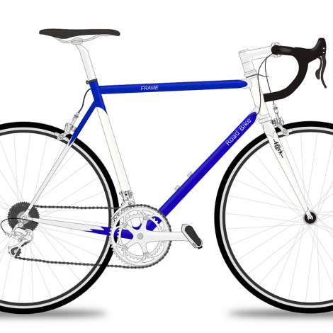 La Grenouille bleue de Damvix location de vélo
